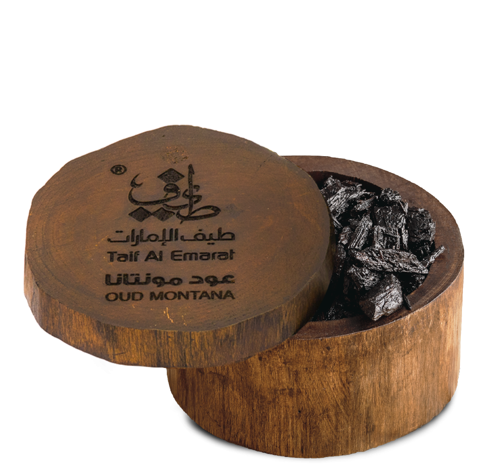 OUD MONTANA ( 50 G )
